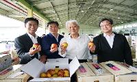 김병삼 영천시장, 여름 과일 출하 현장 점검