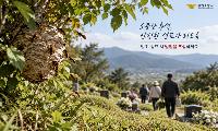 “벌집 건드리지 마세요”